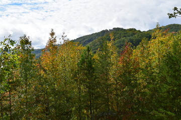 Beautiful Fall Mountain Scene