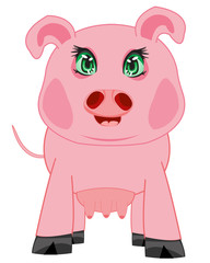 Sow on white background