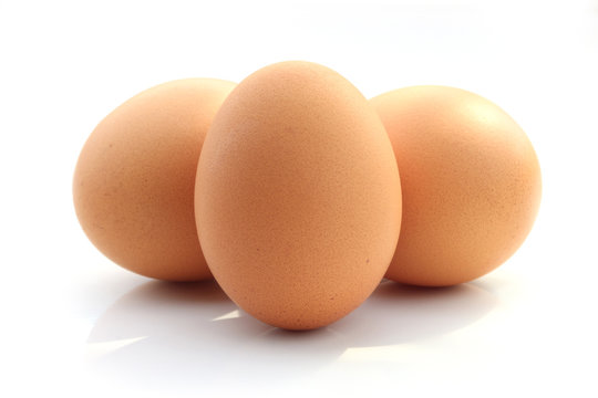 Egg Isolated on white background