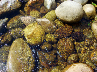 Small rock and stones along a fresh water creek. Bright image with varying rough and smooth textures. Southern thailand