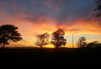 Bright Orange Sunset