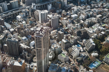 Fototapeta premium Tokyo metropolis cityscape view from Tokyo tower in Japan