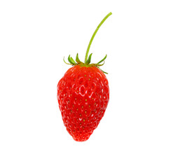 Red perfect strawberry isolated on white background