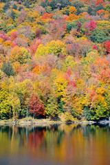 Lake Autumn Foliage