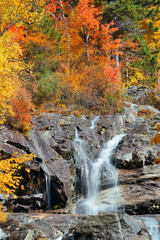 Colorful Autumn creek