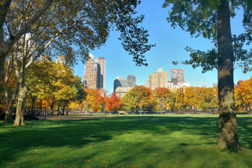 Central Park Autumn