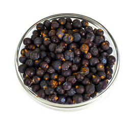 Juniper in a Glass Bowl on White