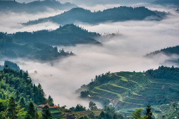 Rice terraces shrouded in mist in the early morning