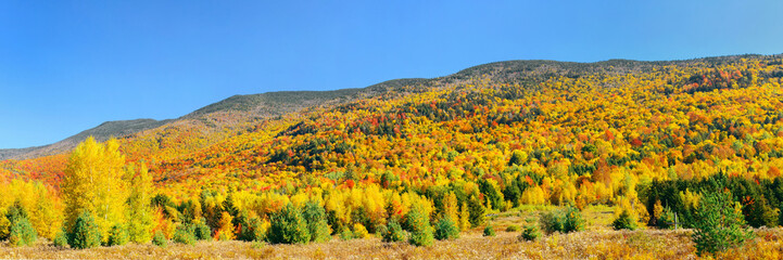 Stowe Countryside view