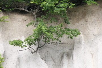 石山緑地(北海道)