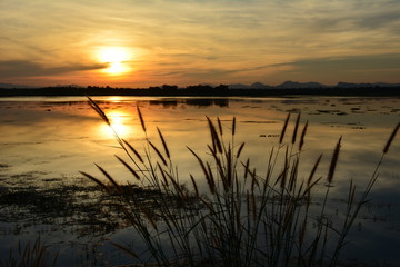 Sunset silhouette shadow style.