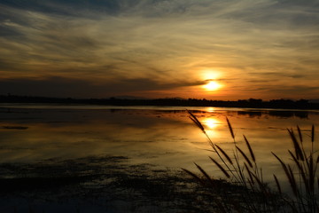 Sunset silhouette shadow style.