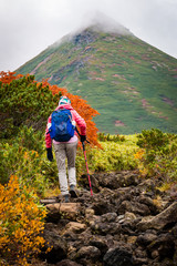 Woman on rocky path among autumn colors on hiking trail in Daisetsuzan National Park, Hokkaido,...