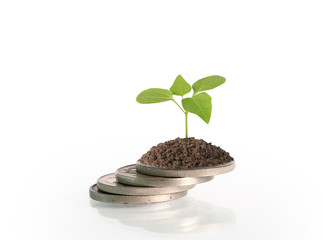 Coins graph stock market