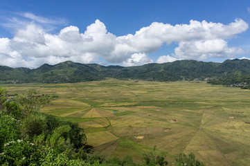 Fototapeta na wymiar Lingko spider web rice fields, Cancar, Ruteng, Flores, Indonesia