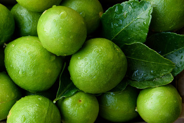 Very fresh organic lime with dew drop