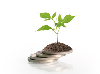 Coins graph stock market