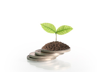 Coins graph stock market