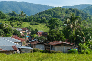 Fototapeta na wymiar Village de Moni, Flores, Nusa Tenggara, Indonésie