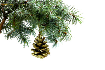 Fototapeta premium Fir tree branch isolated on white background with gold pine cone in top frame corner. New Year and Christmas blank template. Big white copyspace place for text or logo.