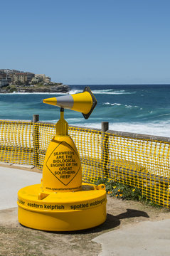 Sculpture By The Sea In Bondi Beach