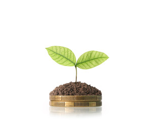 Coins graph stock market