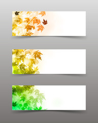 three autumn banners with colorful leaves Vector