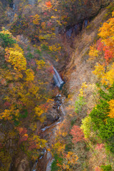 View Beautiful Autumn in Japan