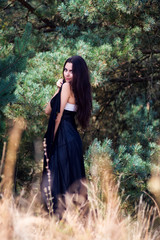 Graceful charming brunette model posing in black dress in coniferous park