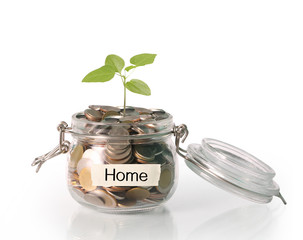 money in glass piggy  bank