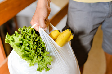 Male carrying bag in his hand after shopping. Closeup of bag full of fruits and vegetables.