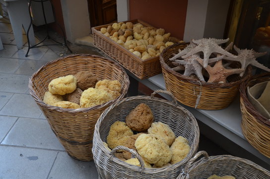 Schw&auml;mme