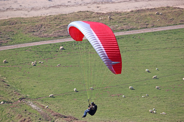 Paraglider at Rhossili