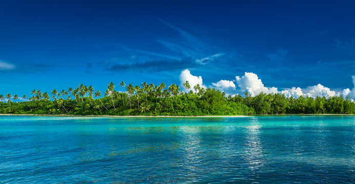 Tropical Rarotonga with palm trees and sandy beach, Cook Islands