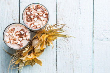 Two glasses cocoa with marshmallow on white wooden background.