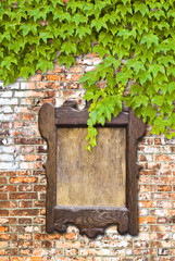 Wooden notice board against a brick wall covered in ivy