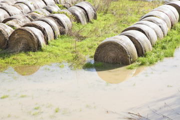 Flooded fields with wet hay bales after torrential rain