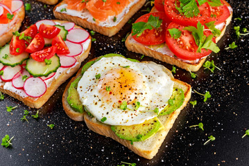 Variety of vegetarian toast sandwiches with salmon, raddish, tomatoes, cucumber, avocado,fried egg and sweet pepper