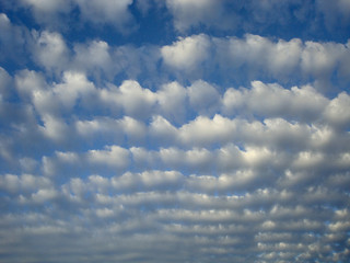 Altocumulus Clouds