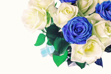 bouquet of white and blue roses white background