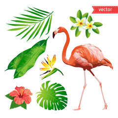 Set of tropical flowers, leaves and bird. Flamingo. Vector. 