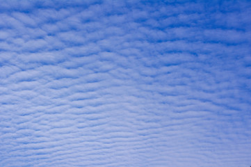 Cirrocumulus Cloud