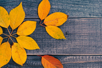 Fototapeta na wymiar leaf background on a wooden table