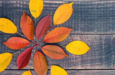 leaf background on a wooden table