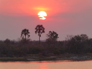 Zambezi River Sunset