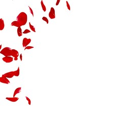 Red rose petals scattered on the floor in a semi-circle