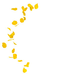 Fototapeta premium Yellow rose petals scattered on the floor in a semi-circle