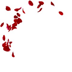 Red rose petals scattered on the floor in a semi-circle