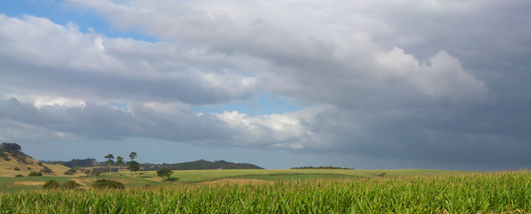 Stratocumulus, Auckland.