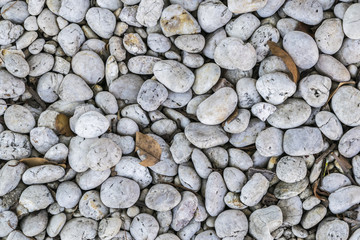 Round stone on the ground texture